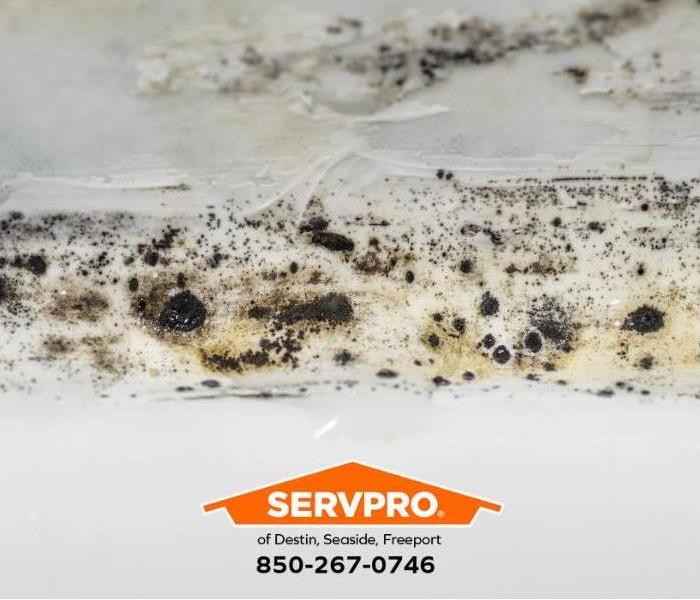 Mold is visible on a wall with water damage.