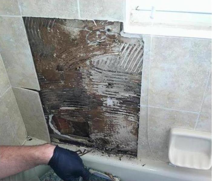 mold behind bathroom tiling