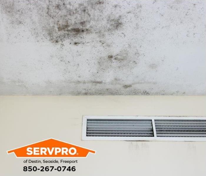Mold is seen growing on a ceiling.