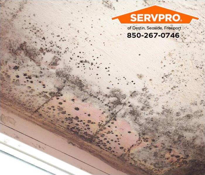Mold from water damage covers a ceiling near a leaking door frame.